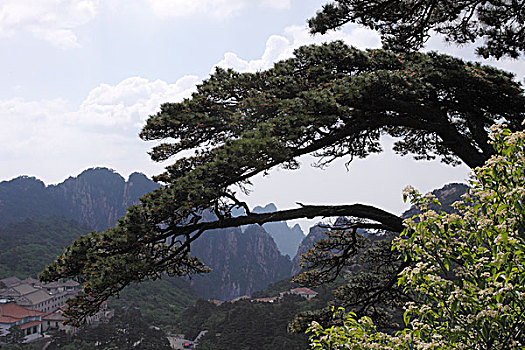 安徽黄山风光