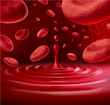 血细胞,液体