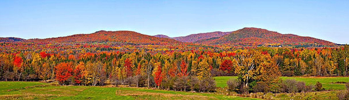 秋天,全景,魁北克,加拿大