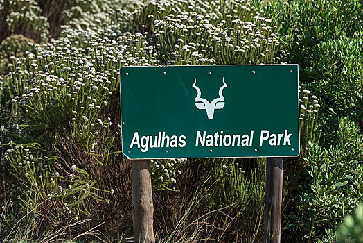 国家公园,标识,捻角羚,省,西海角,南非,非洲