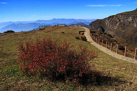 蓝天印衬下的大山包风景