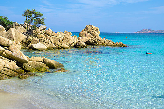 沙滩,青绿色,水,哥斯达黎加,萨丁尼亚,意大利,欧洲