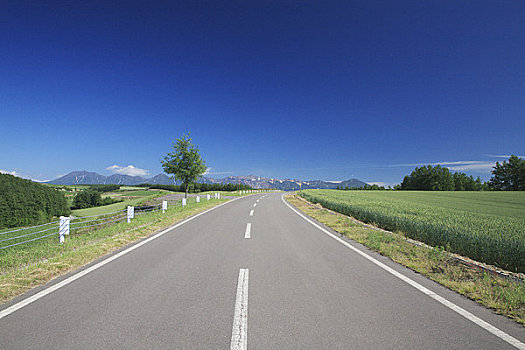 道路,十胜岳山