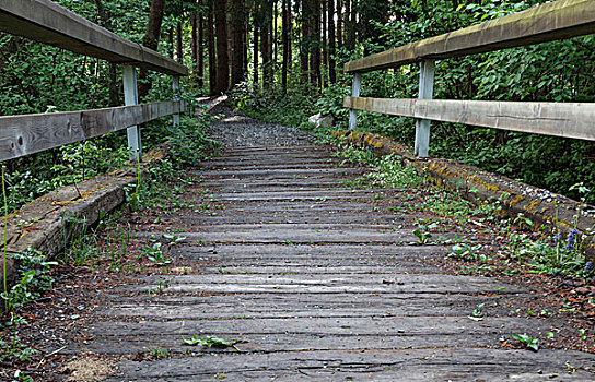 荒野,卡林西亚