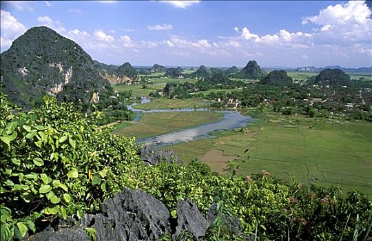 越南,河内,俯视图,稻田,山峰