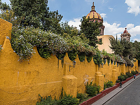 墨西哥,圣米格尔,黄色,墙,户外,教堂,画廊