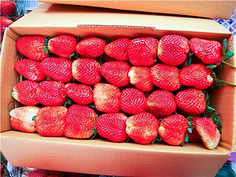 草莓,纸,盒子