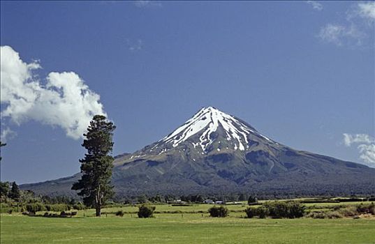 山,塔拉纳基,高,半岛,新西兰