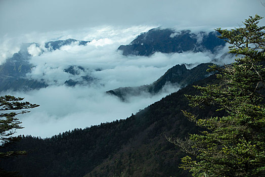 神农架,神农顶,风景,景点,旅游,高山,瀑布,河流,神秘,树木,植被,石头,鄂西,云海,峡谷,壮观