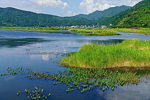 腾冲北海湿地保护区