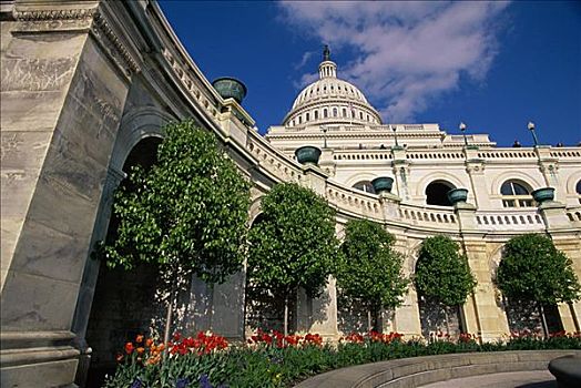 仰视,政府建筑,国会大厦建筑,华盛顿特区,美国