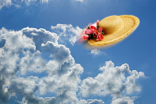 稻草,帽子,飞,空气,照片,蒙太奇