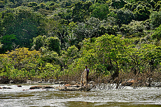 渔民,网,石头,堤岸,塔帕若斯河,巴西,南美