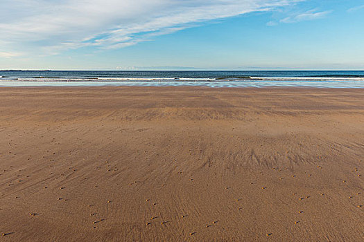 沙滩,北海,退潮,早晨,诺森伯兰郡,英格兰,英国