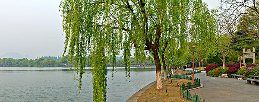 西湖十景,苏堤春晓