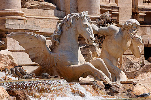 马,雕塑,巴洛克,喷泉,罗马,意大利,欧洲