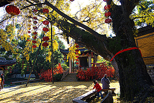 无锡锡惠公园惠山寺