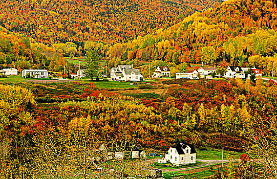 乡村,秋天,伽斯佩,魁北克,加拿大