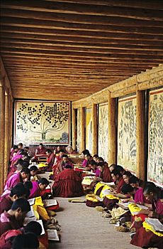 中国,夏河,寺院,新信徒,僧侣,学习,房间