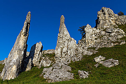 岩石构造,石头,山谷,靠近,巴登符腾堡,德国南部,德国,欧洲