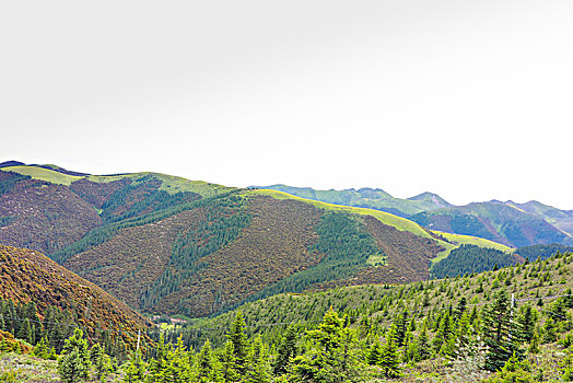 峡谷中的绿水青山