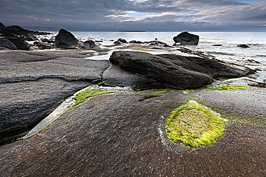 岩石海岸,靠近,罗弗敦群岛,诺尔兰郡,挪威,欧洲