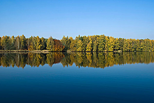 秋天,湖,自然,自然保护区,法兰克福,黑森州,德国,欧洲