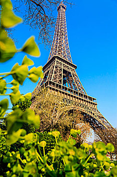 法国巴黎埃菲尔铁塔5