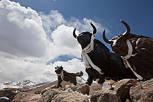 西藏牦牛雕塑