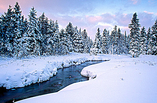 溪流,南,冬天,爱德华王子岛,加拿大