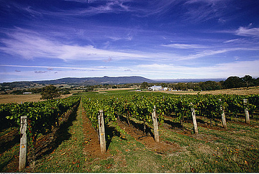 葡萄酒厂,澳大利亚