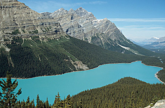 俯拍,湖,佩多湖,班芙国家公园,艾伯塔省,加拿大