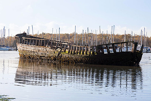 木船,残骸,腐烂,河,湾流,英格兰,英国,欧洲