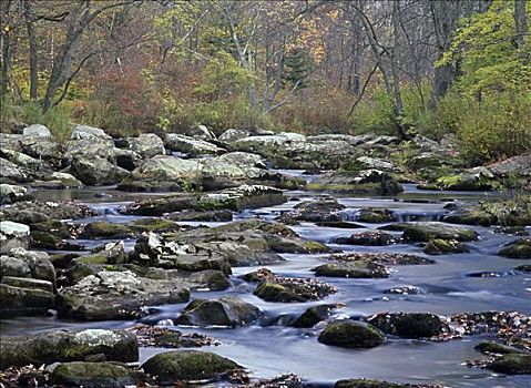 溪流,州立公园,宾夕法尼亚,美国