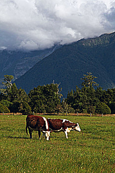 马瑟森湖lake,matheson