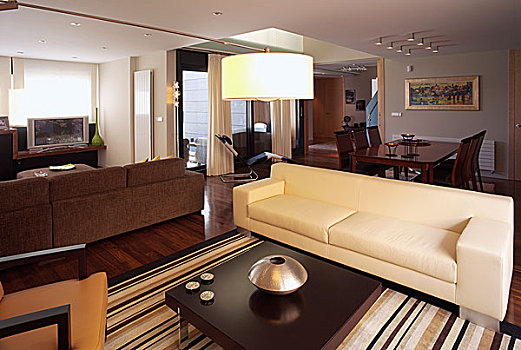 软垫,椅子,放置,茶几,现代,起居室