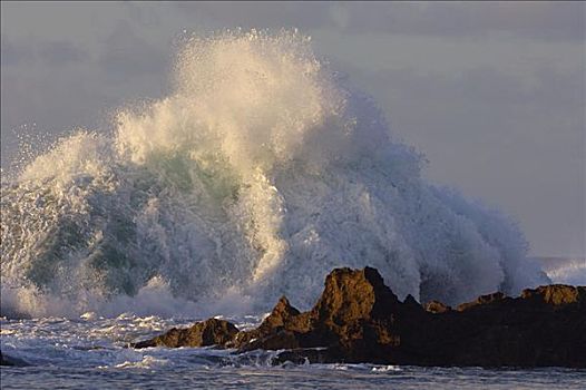 波浪,碰撞,礁石,北岸,瓦胡岛,夏威夷,美国