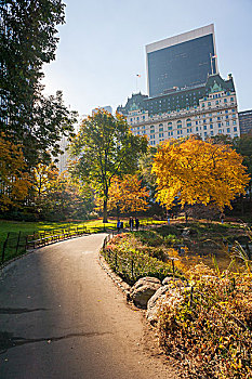 纽约中央公园的秋季景色