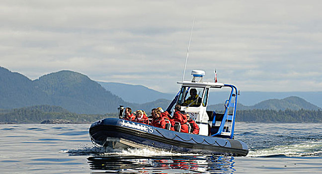 温哥华岛,格里夸湾,平面,观鲸,船
