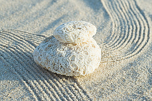 一堆,珊瑚,沙子