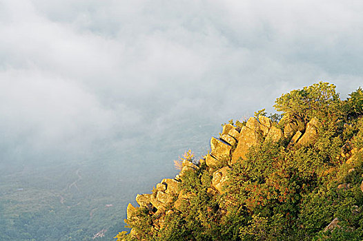 黄花山云海