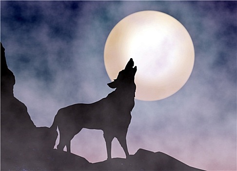 狼,叫喊,月光