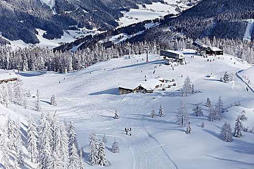滑雪,区域,靠近,施蒂里亚,奥地利,欧洲