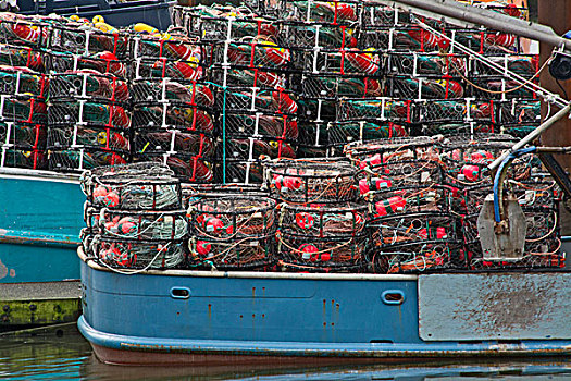 螃蟹,罐,浮漂,一堆,纽波特,湾,俄勒冈,美国