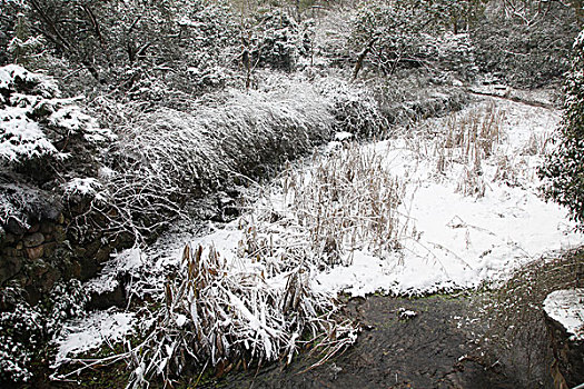 杭州,西湖,建筑,灵隐寺,寺庙,雪,宗教,佛教,僧人,塑像,信仰,文化,旅游,飞来峰