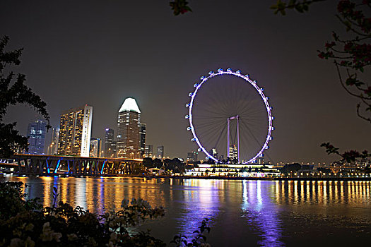 夜景,摩天轮,水岸,新加坡