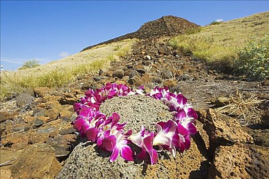 夏威夷,夏威夷大岛,北柯哈拉,兰花,花环,前景