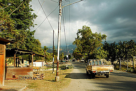 goat,in,the,middle,of,street,dili