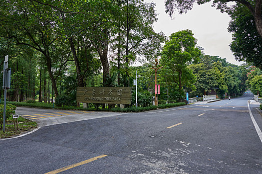 广东省林业科学研究院广东林木园