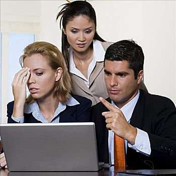 商务人士,两个,职业女性,看,笔记本电脑